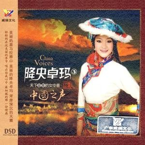 中国之声.jpg